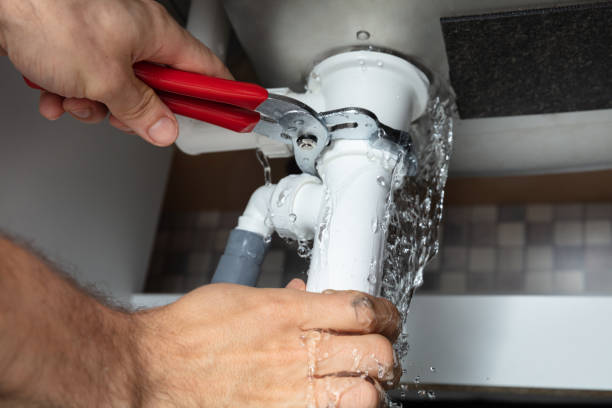 Best Professional water damage repair  in Savannah, GA