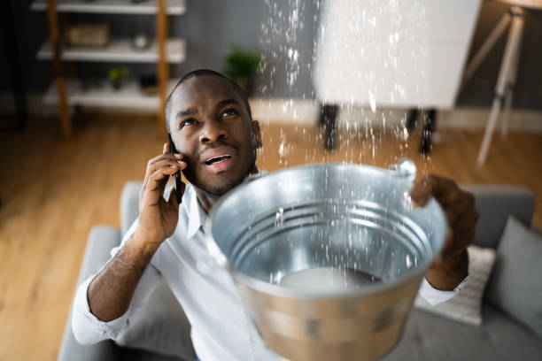 Best Flood damage cleanup  in Savannah, GA