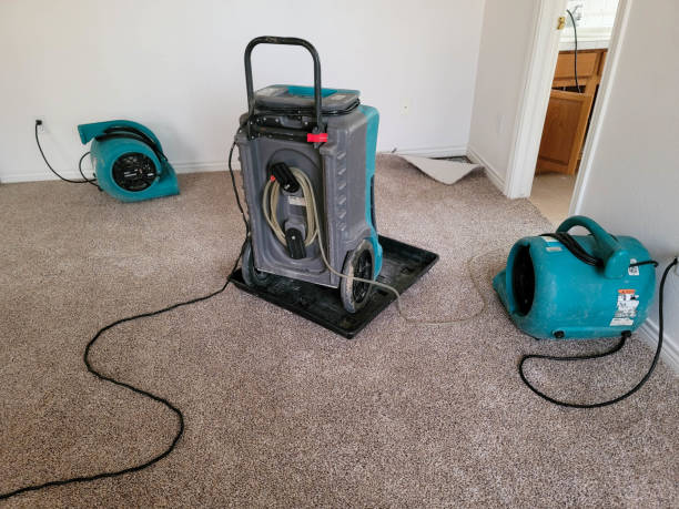 Best Commercial water damage restoration  in Savannah, GA