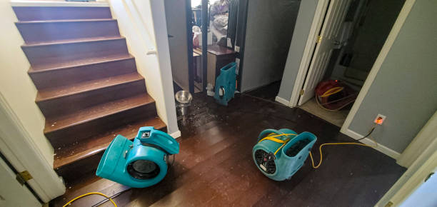 Best Fire Damage Restoration  in Savannah, GA