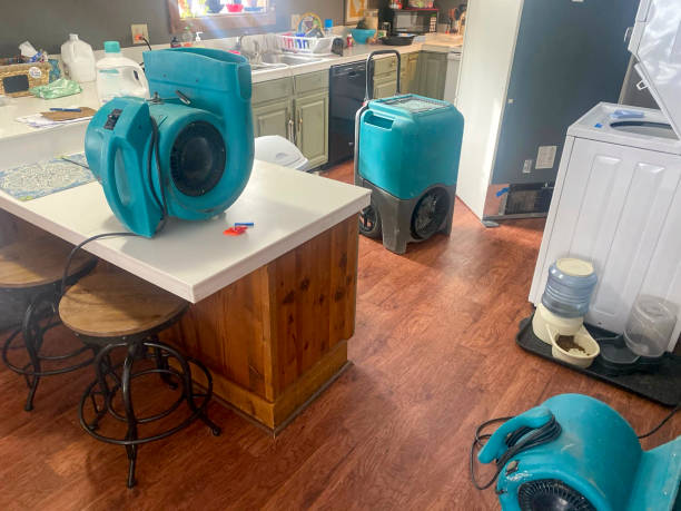 Best Flood restoration services  in Savannah, GA