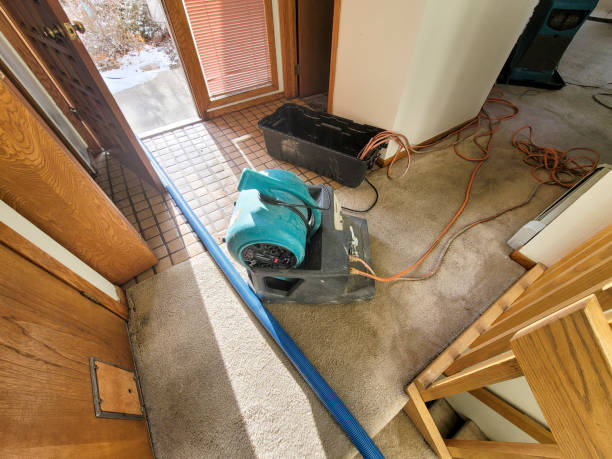 Best Water damage cleanup near me  in Savannah, GA