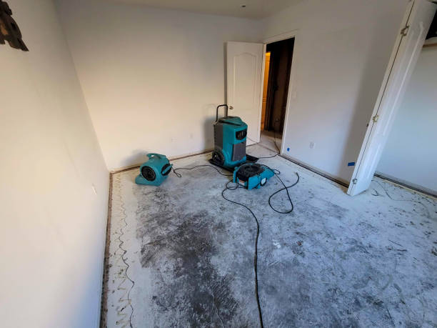 Best Water damage restoration near me  in Savannah, GA