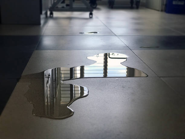 Best Emergency water damage restoration  in Savannah, GA