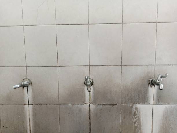 Best 24/7 water damage repair  in Savannah, GA