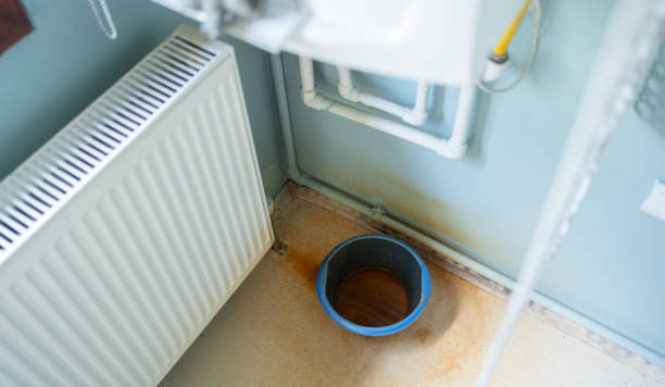 Best Ceiling water damage repair  in Savannah, GA