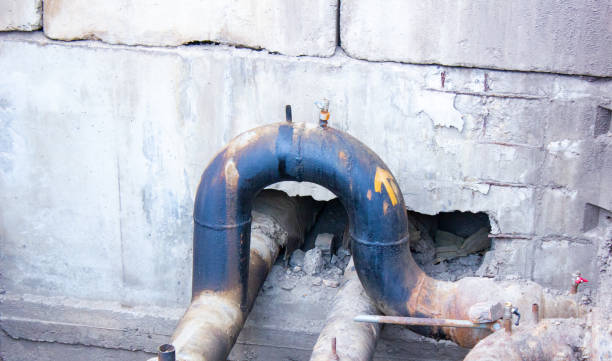 Best Mold removal after water damage  in Savannah, GA