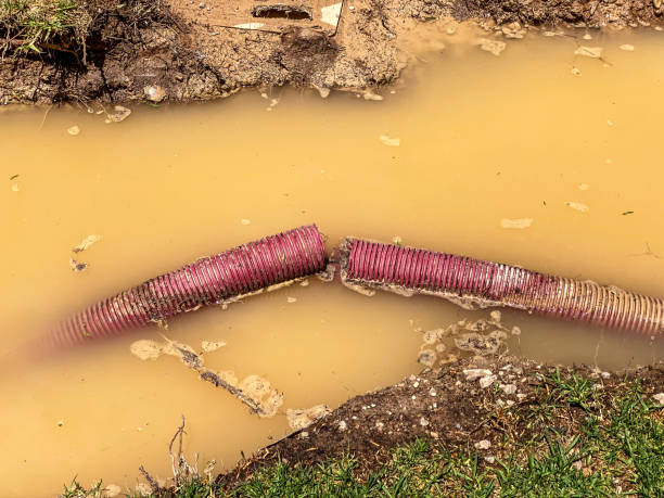 Best Local water damage restoration  in Savannah, GA