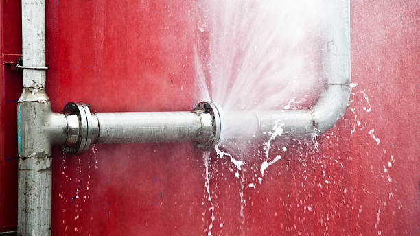 Best Flooded house restoration  in Savannah, GA