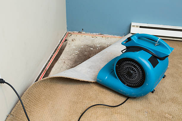 Best Flood restoration services  in Savannah, GA