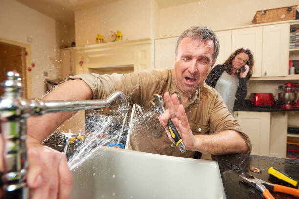 Best Mold removal after water damage  in Savannah, GA